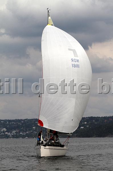 Bundefjorden2012 175.jpg